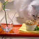 Illustration for article titled Do You Love Your Cat Enough to Make Him a Western Souffle Omelette?